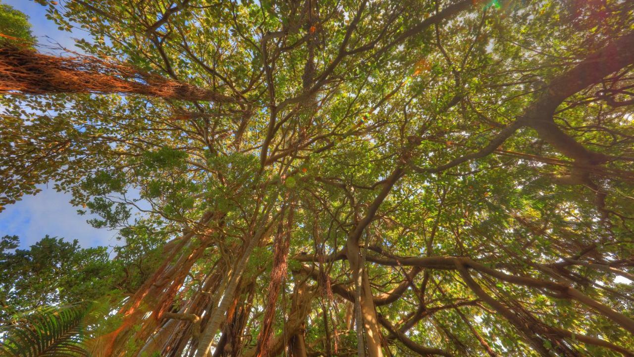 Apartamento The Broken Banyan Lord Howe Island Exterior foto